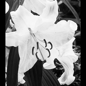 Meet your Posher, Marzena